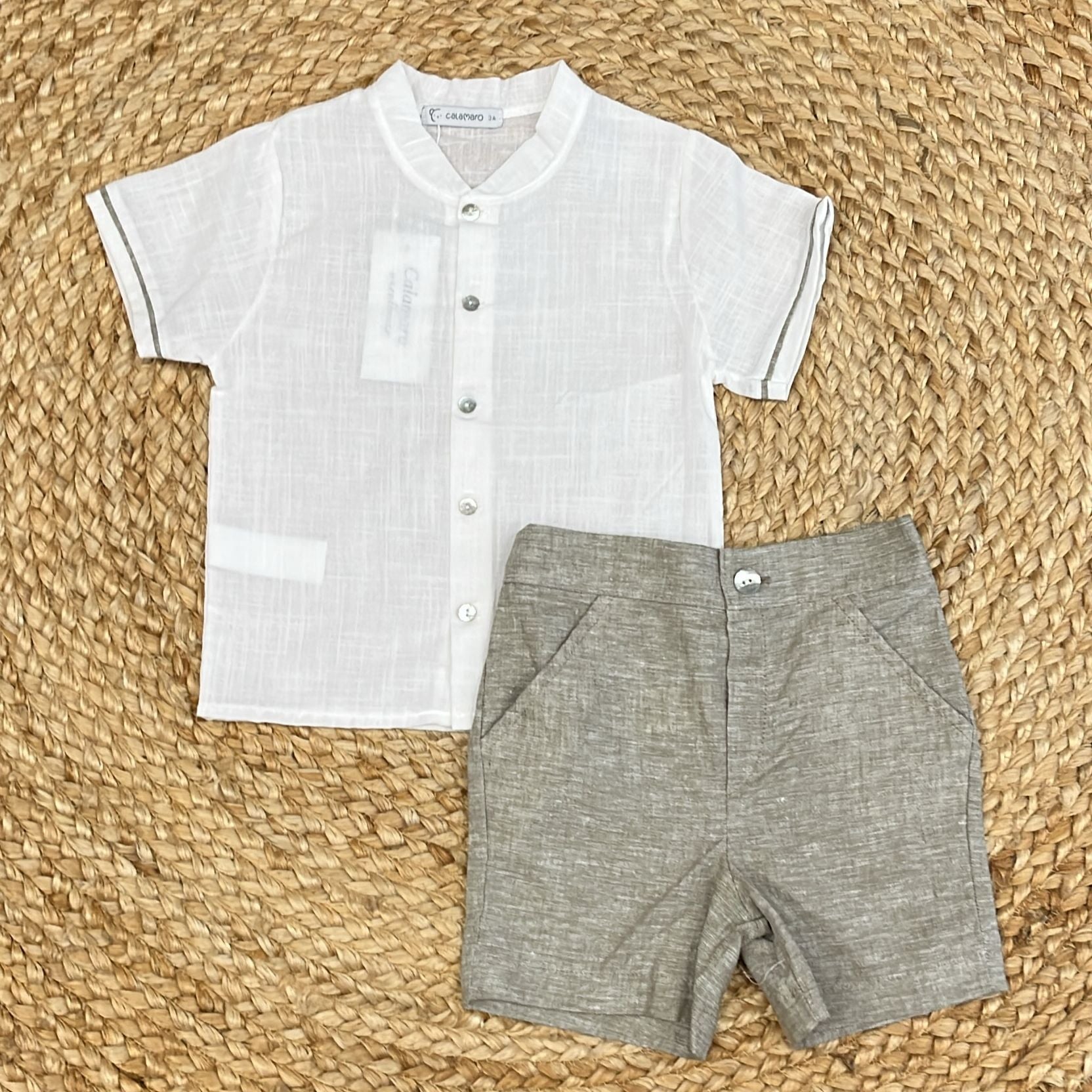 Calamaro Completino - Anima Kids