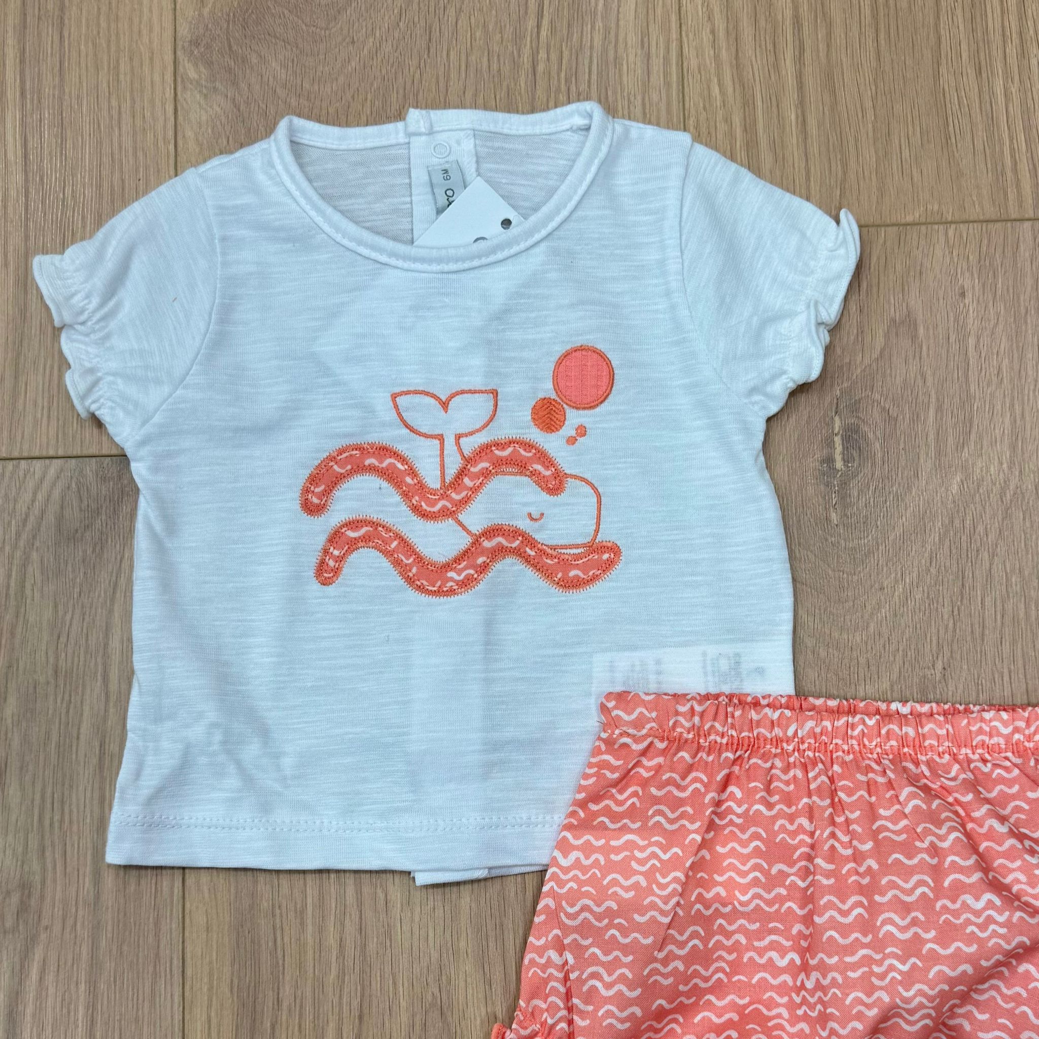 Calamaro completino onde - Anima Kids