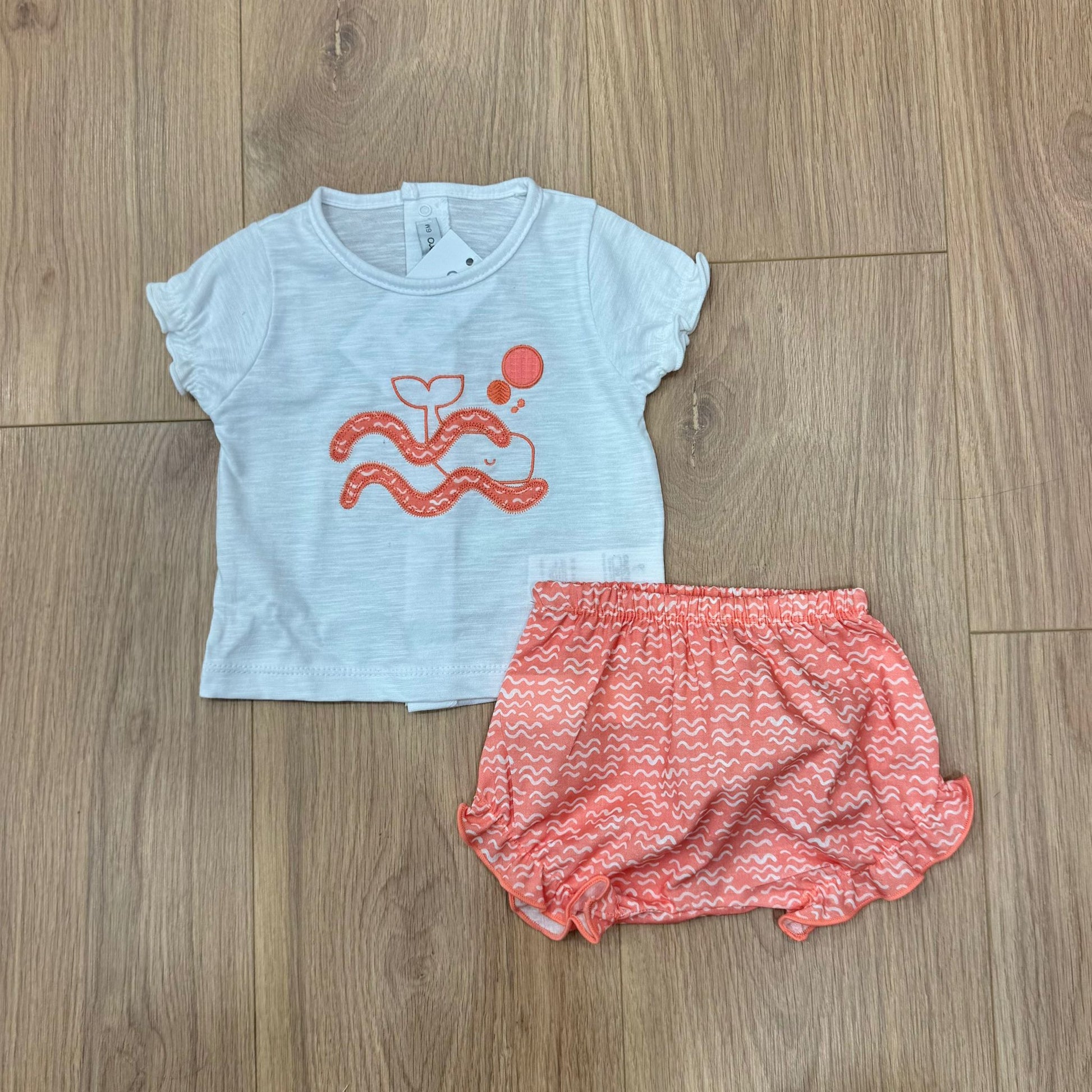 Calamaro completino onde - Anima Kids