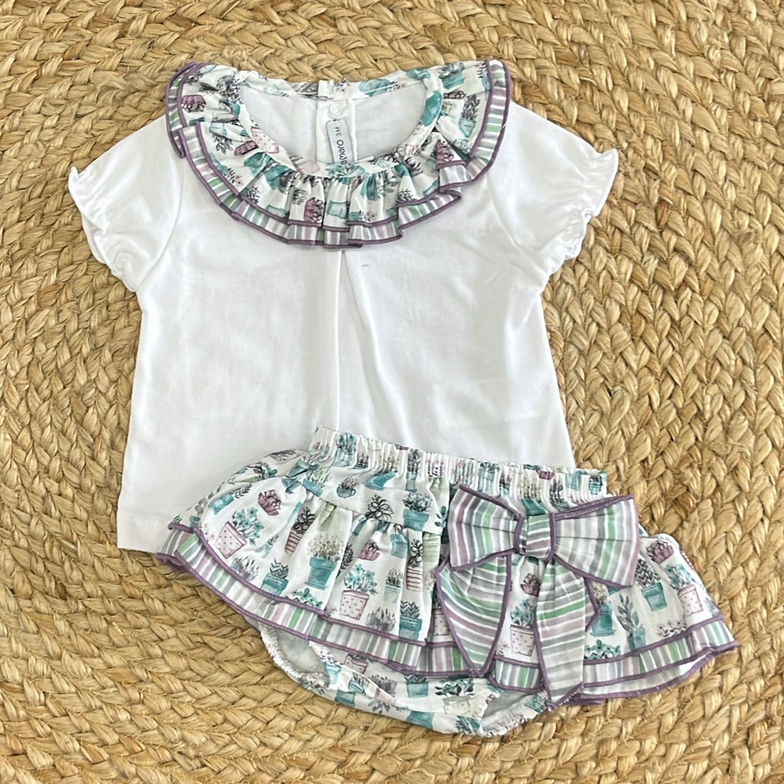 Calamaro Completino Piantine - Anima Kids