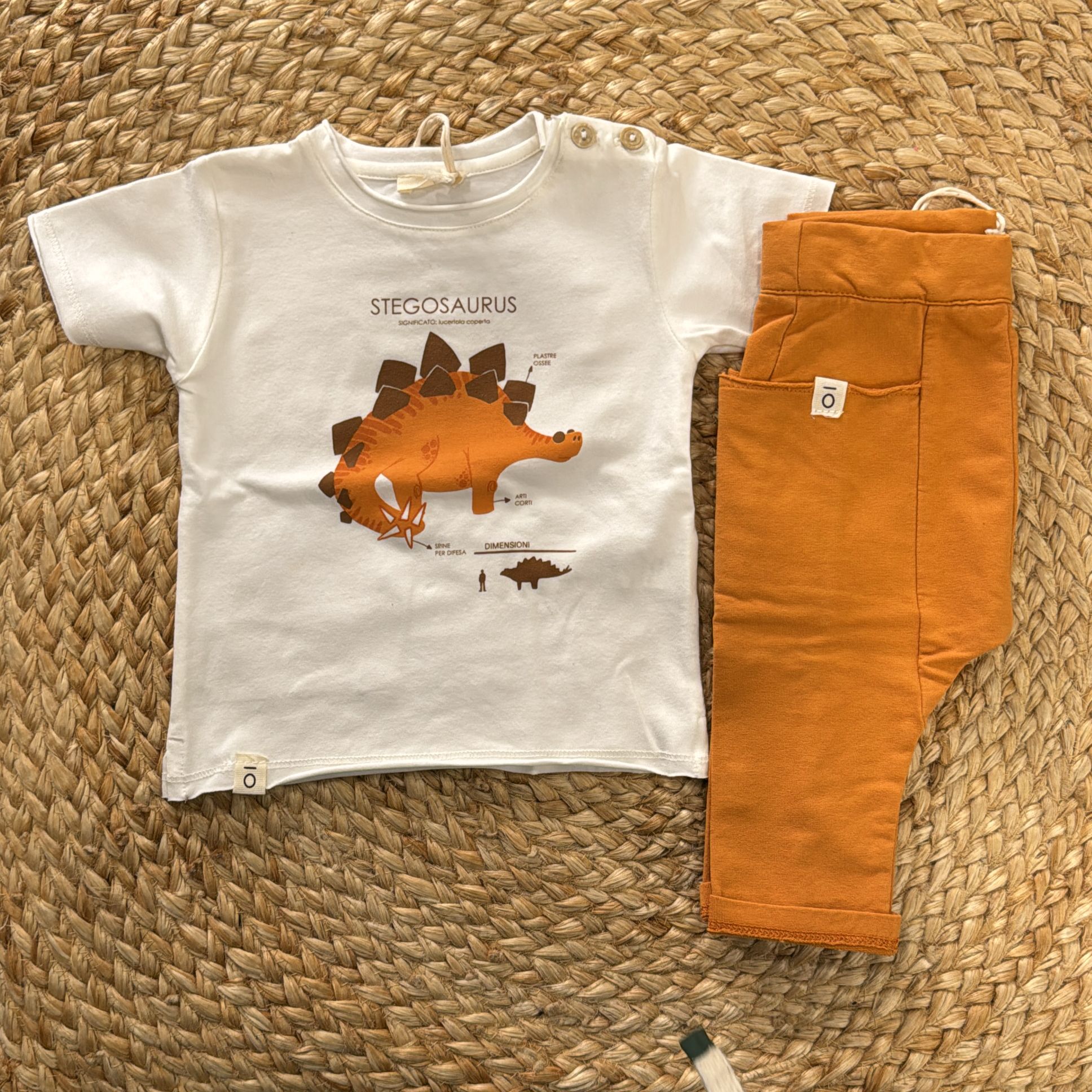 Ma Però Completino - Anima Kids