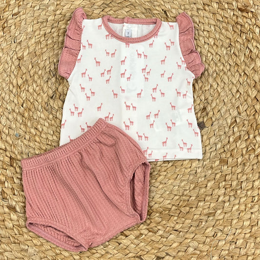 Squid Cotton t-shirt and shorts