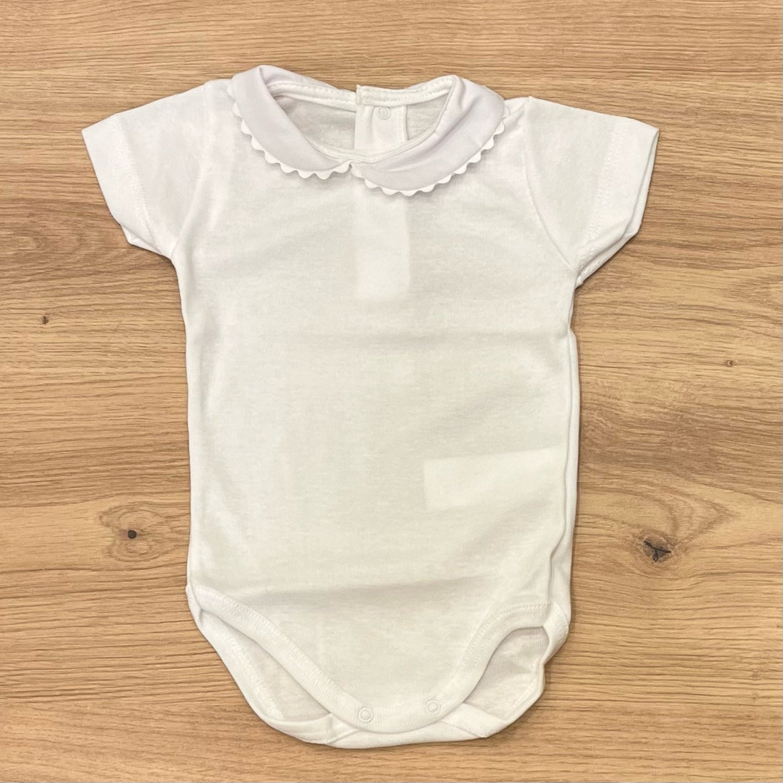 Calamaro Body - Anima Kids