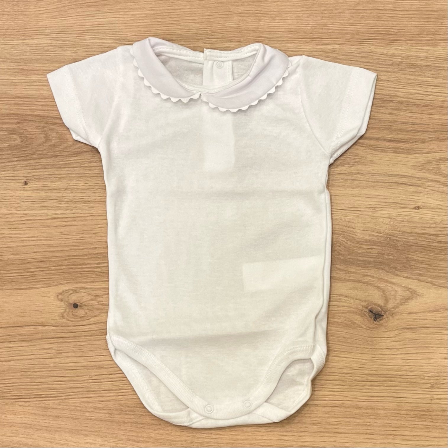 Calamaro Body - Anima Kids