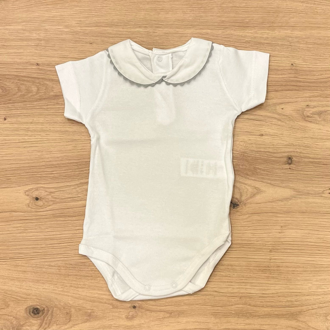 Calamaro Body - Anima Kids